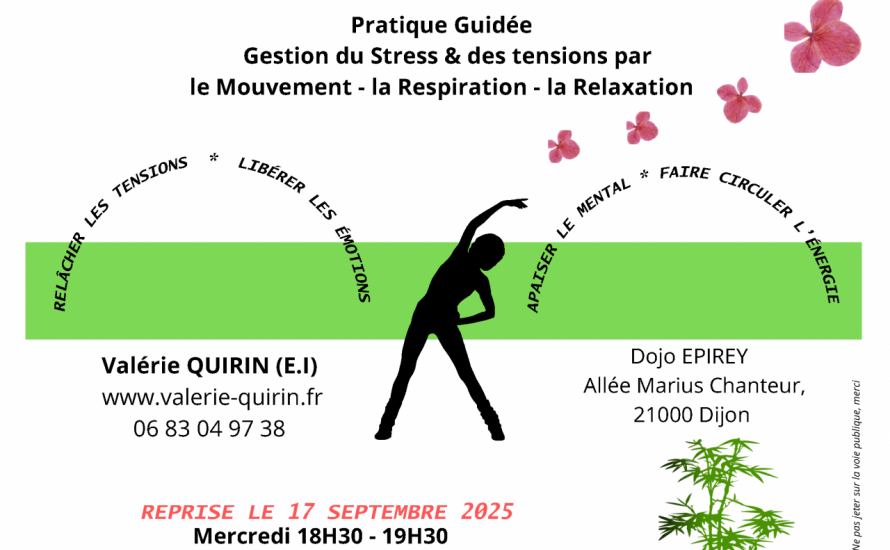 Pratique Guidée — Gestion du Stress & des tensions par le Mouvement – la Respiration – la Relaxation